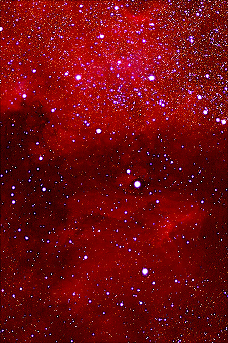 Pelican and North American Nebulae